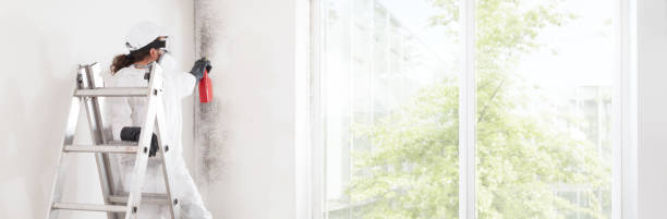 Best Mold Prevention Services  in Madera, CA
